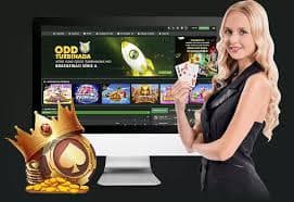 Roulette Live Table မြန်မာကစားသမား Mobile APP